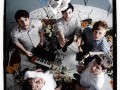 foals
