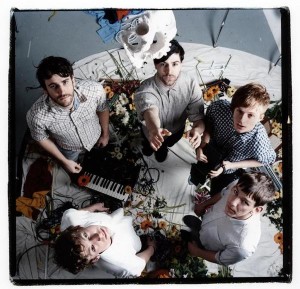 foals