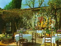 Colombe