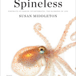 Spineless – Susan Middleton Brings Us Pure Magic
