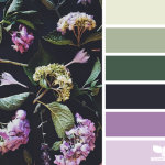 Design Seeds – Nature Has The Best Color Paletts