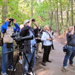 12 in 12 – Birding als Lebenselixir